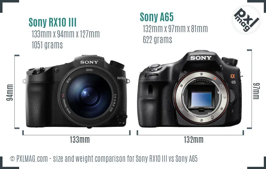 Sony RX10 III vs Sony A65 size comparison