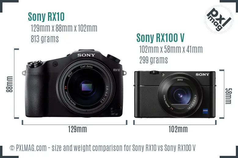 Sony RX10 vs Sony RX100 V size comparison