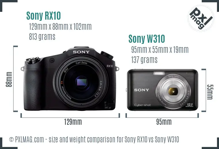 Sony RX10 vs Sony W310 size comparison
