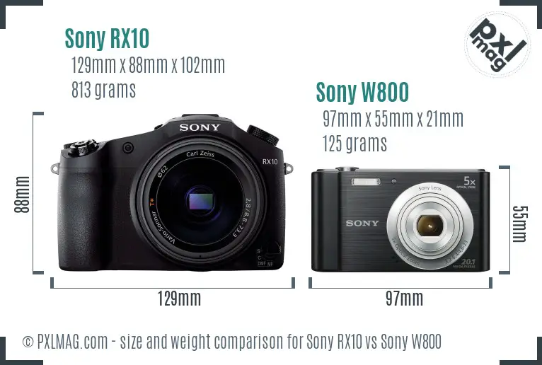 Sony RX10 vs Sony W800 size comparison
