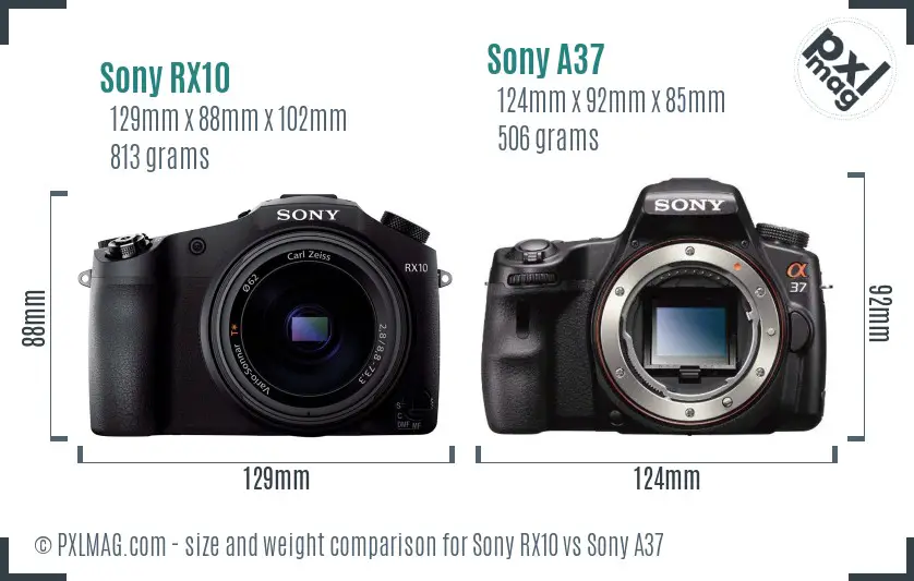 Sony RX10 vs Sony A37 size comparison