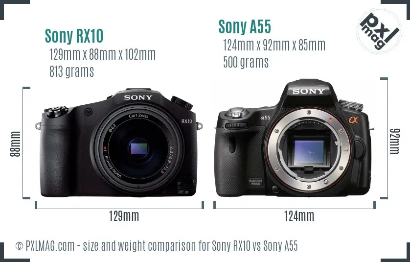 Sony RX10 vs Sony A55 size comparison