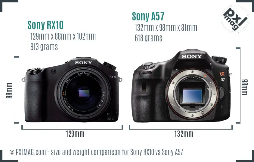 Sony RX10 vs Sony A57 size comparison