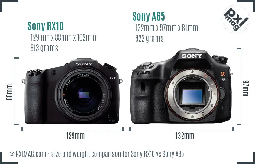 Sony RX10 vs Sony A65 size comparison