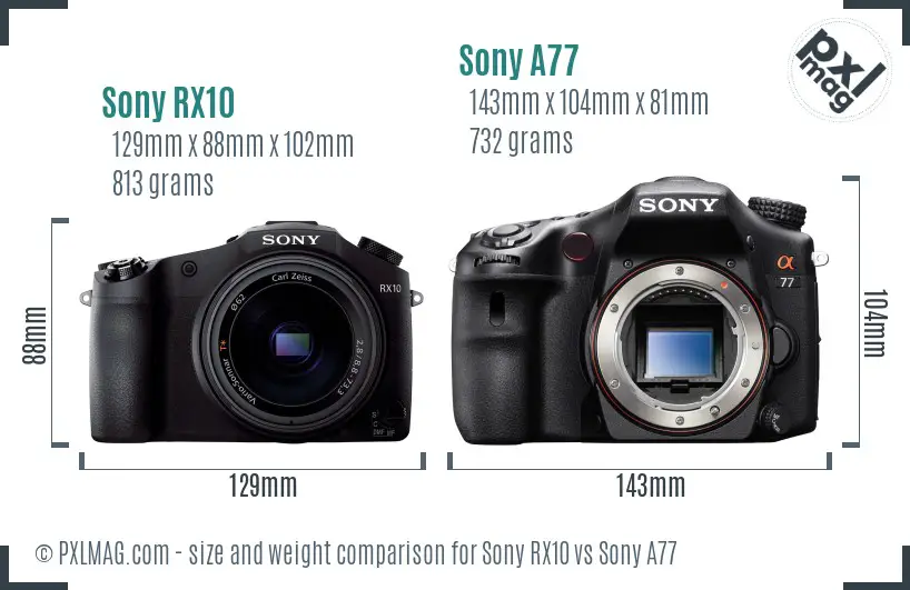 Sony RX10 vs Sony A77 size comparison