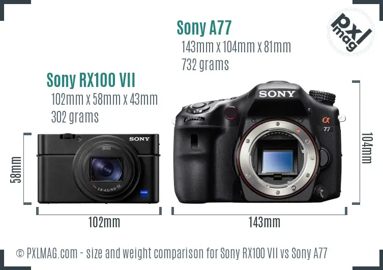 Sony RX100 VII vs Sony A77 size comparison