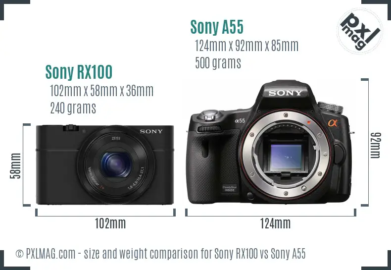 Sony RX100 vs Sony A55 size comparison