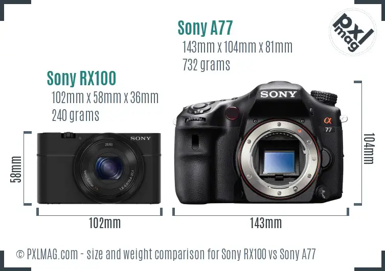 Sony RX100 vs Sony A77 size comparison
