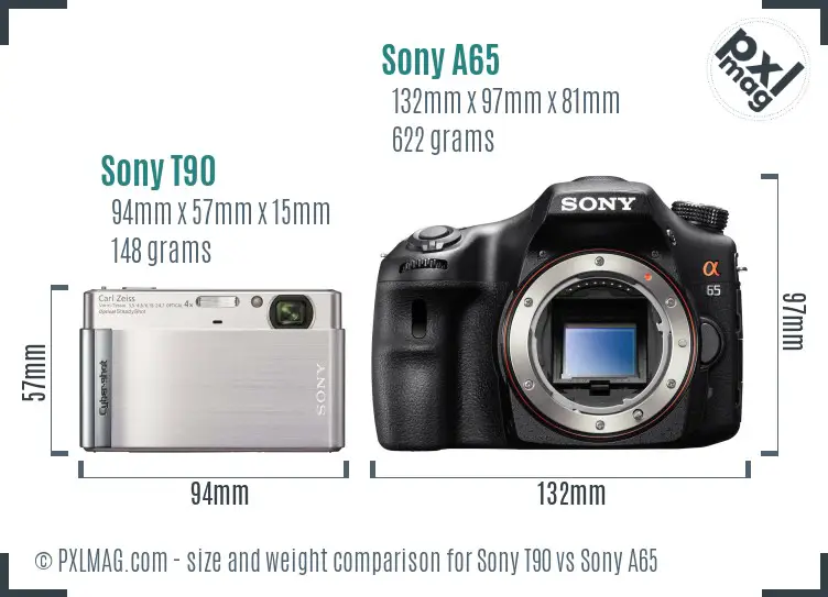 Sony T90 vs Sony A65 size comparison