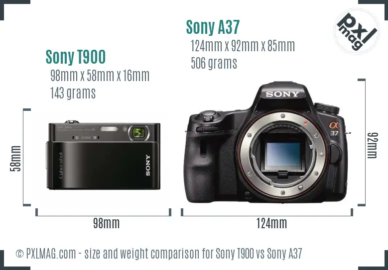Sony T900 vs Sony A37 size comparison