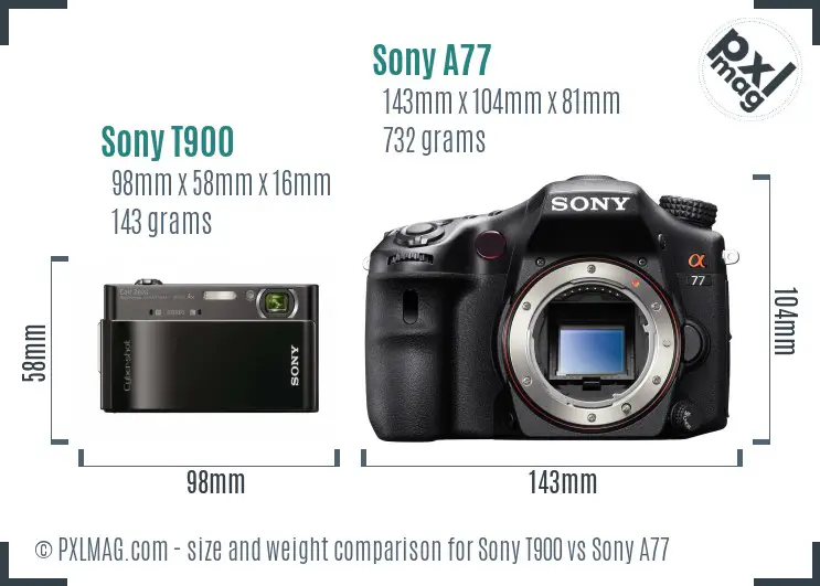 Sony T900 vs Sony A77 size comparison
