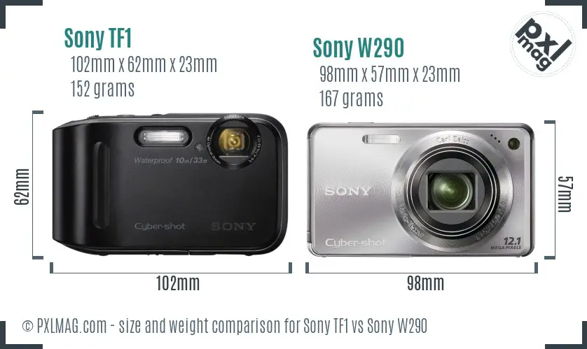 Sony TF1 vs Sony W290 size comparison