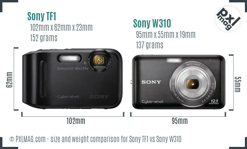 Sony TF1 vs Sony W310 size comparison
