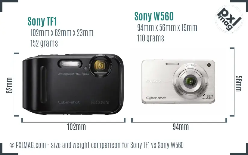 Sony TF1 vs Sony W560 size comparison
