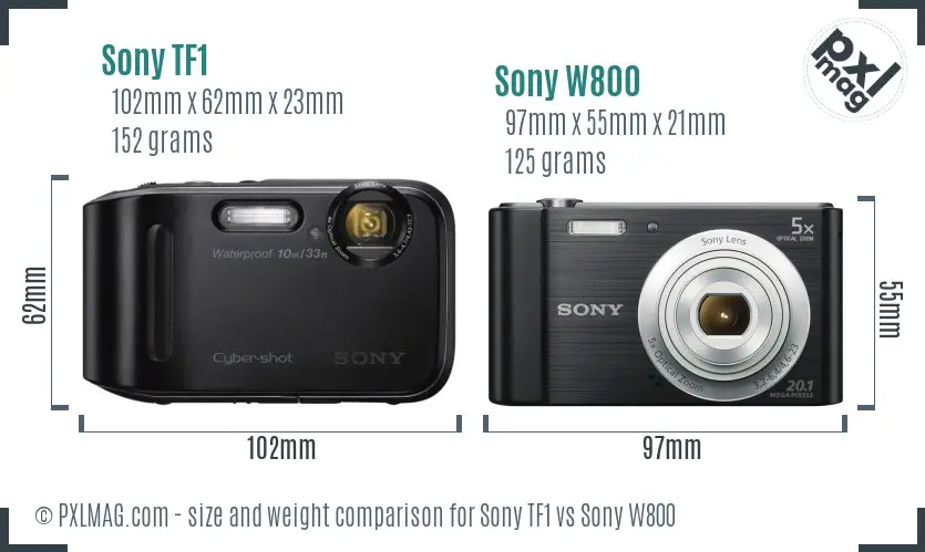 Sony TF1 vs Sony W800 size comparison