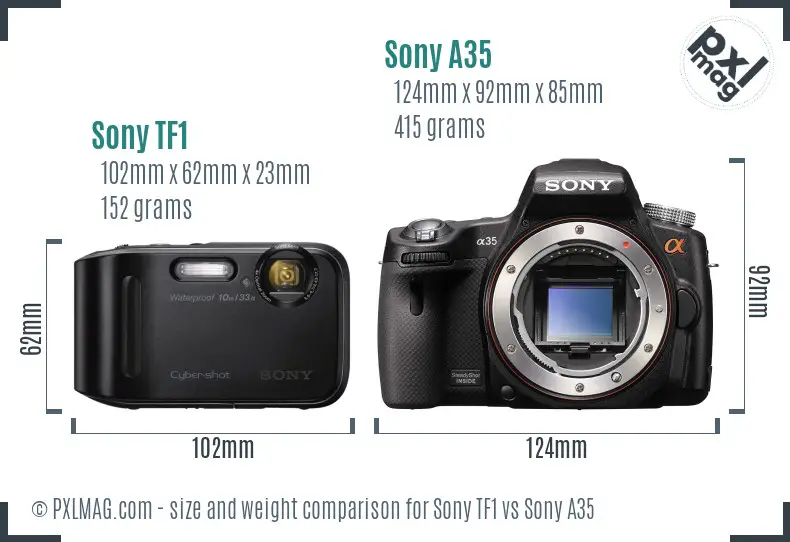 Sony TF1 vs Sony A35 size comparison