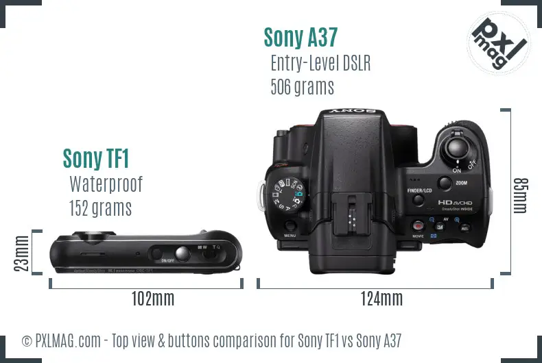 Sony TF1 vs Sony A37 top view buttons comparison
