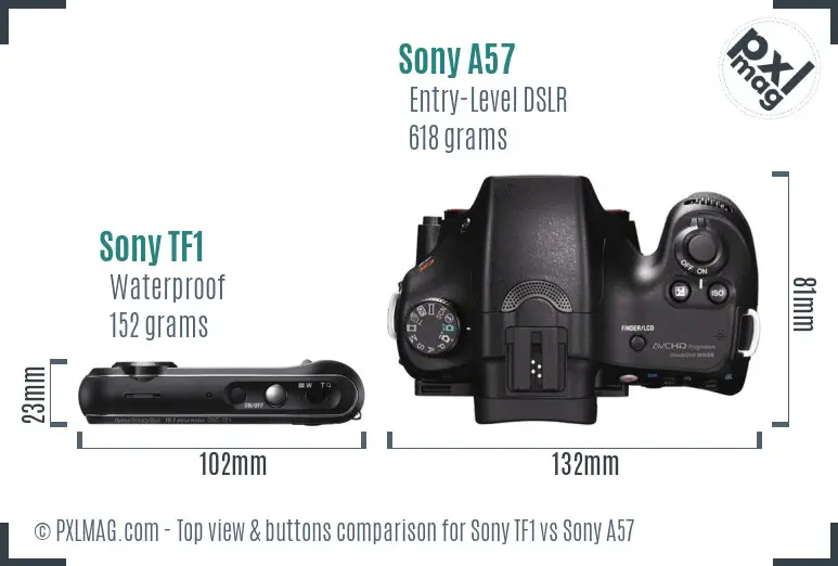Sony TF1 vs Sony A57 top view buttons comparison