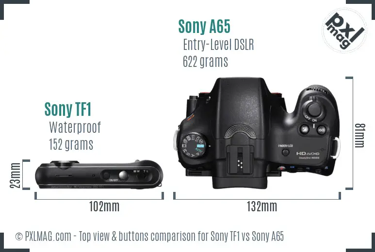 Sony TF1 vs Sony A65 top view buttons comparison