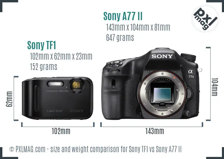 Sony TF1 vs Sony A77 II size comparison