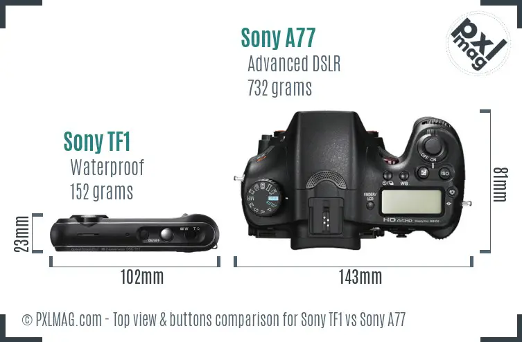 Sony TF1 vs Sony A77 top view buttons comparison