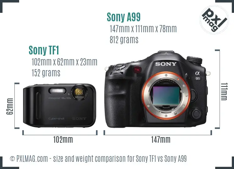 Sony TF1 vs Sony A99 size comparison