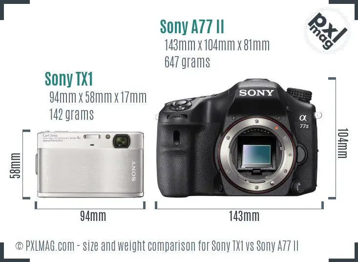 Sony TX1 vs Sony A77 II size comparison