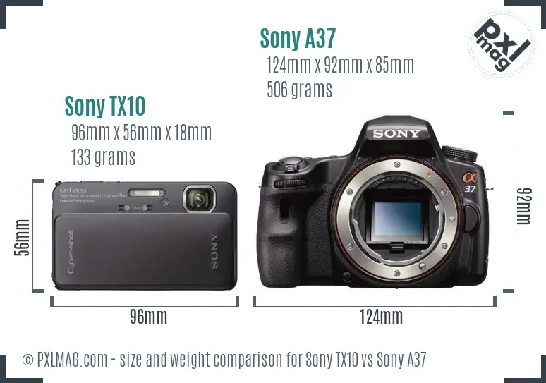 Sony TX10 vs Sony A37 size comparison