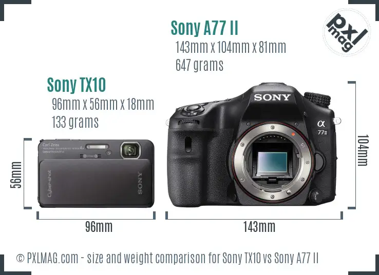Sony TX10 vs Sony A77 II size comparison
