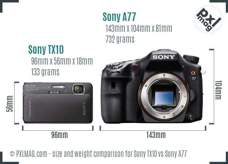 Sony TX10 vs Sony A77 size comparison