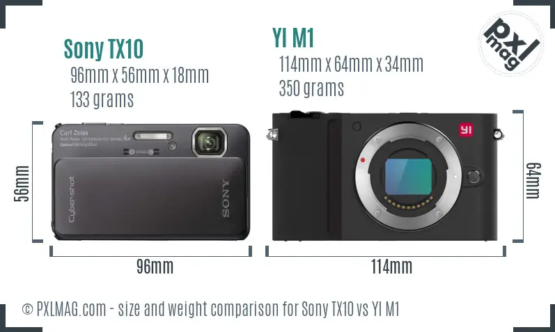 Sony TX10 vs YI M1 size comparison