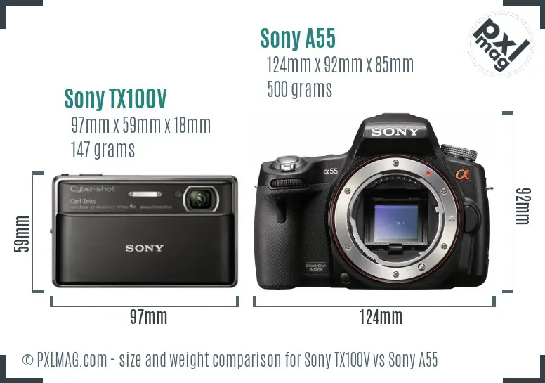 Sony TX100V vs Sony A55 size comparison