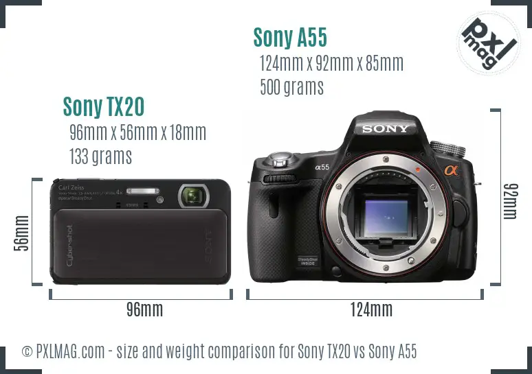 Sony TX20 vs Sony A55 size comparison