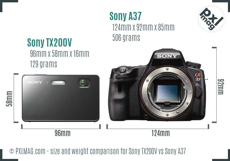Sony TX200V vs Sony A37 size comparison
