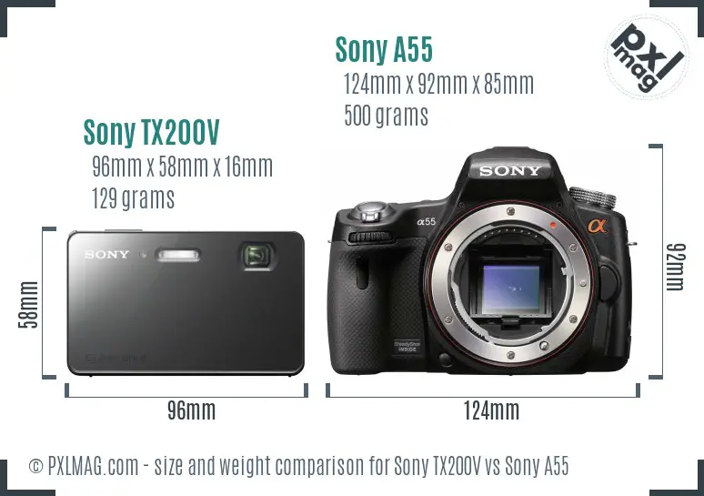 Sony TX200V vs Sony A55 size comparison