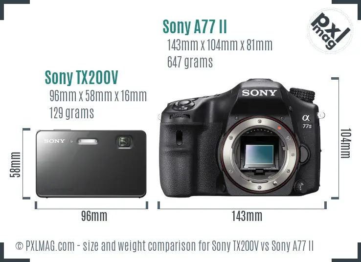 Sony TX200V vs Sony A77 II size comparison