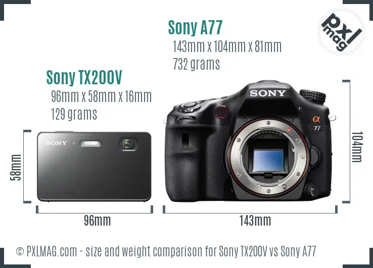 Sony TX200V vs Sony A77 size comparison