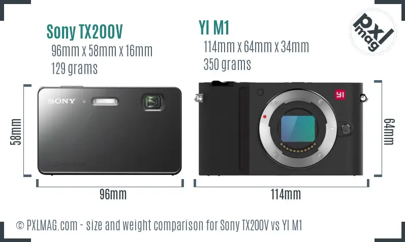 Sony TX200V vs YI M1 size comparison