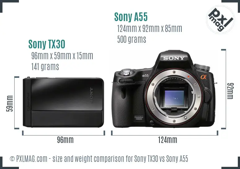 Sony TX30 vs Sony A55 size comparison