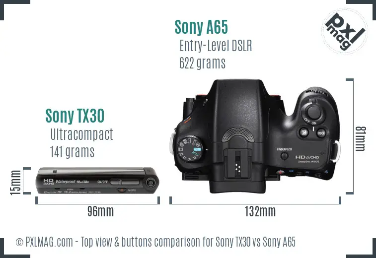 Sony TX30 vs Sony A65 top view buttons comparison