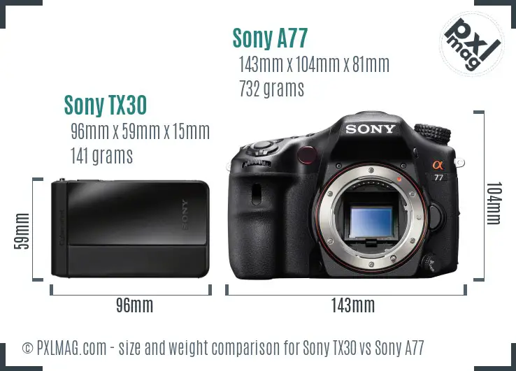 Sony TX30 vs Sony A77 size comparison