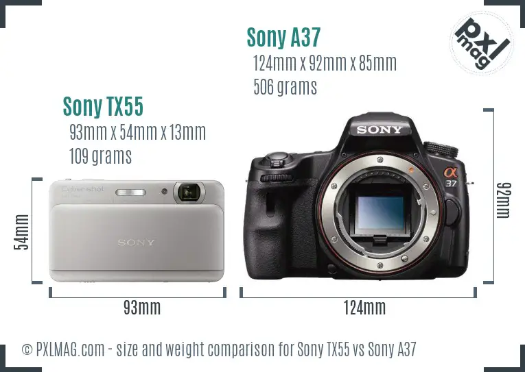Sony TX55 vs Sony A37 size comparison