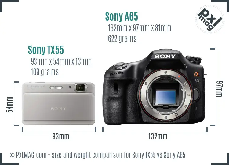 Sony TX55 vs Sony A65 size comparison