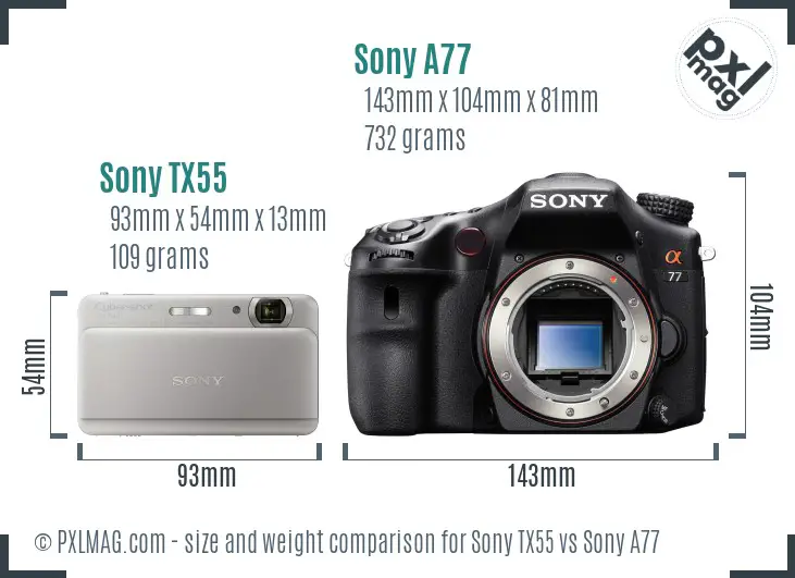Sony TX55 vs Sony A77 size comparison