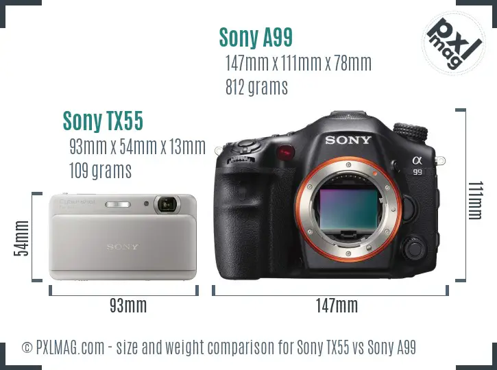 Sony TX55 vs Sony A99 size comparison