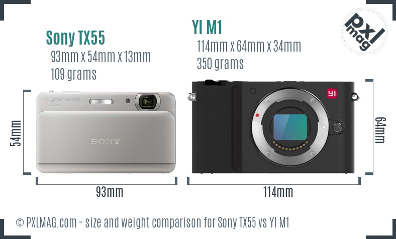 Sony TX55 vs YI M1 size comparison