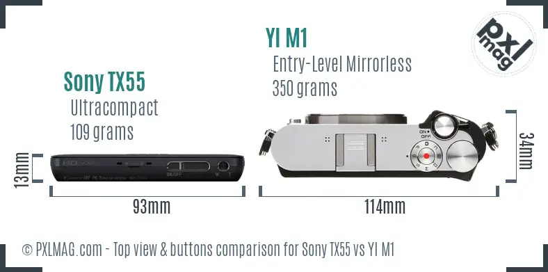 Sony TX55 vs YI M1 top view buttons comparison