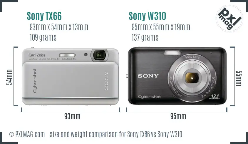 Sony TX66 vs Sony W310 size comparison