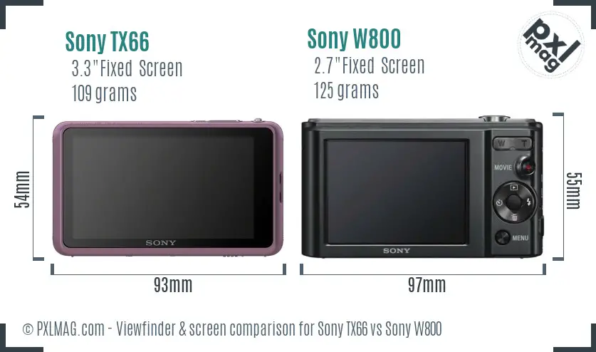 Sony TX66 vs Sony W800 Screen and Viewfinder comparison