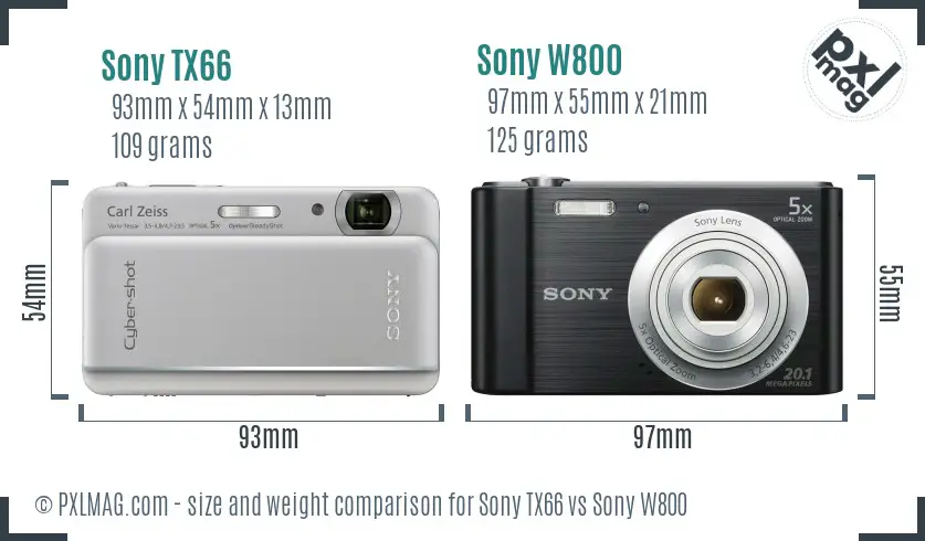 Sony TX66 vs Sony W800 size comparison